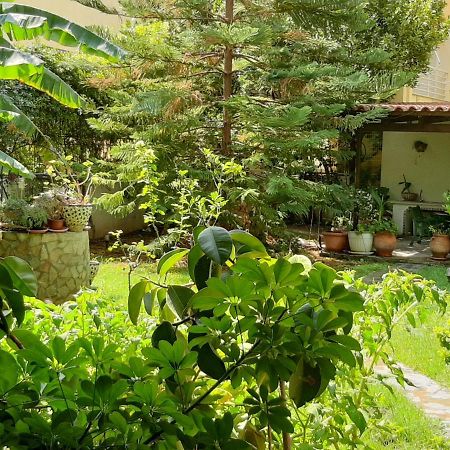 Lovely House Atenas Exterior foto